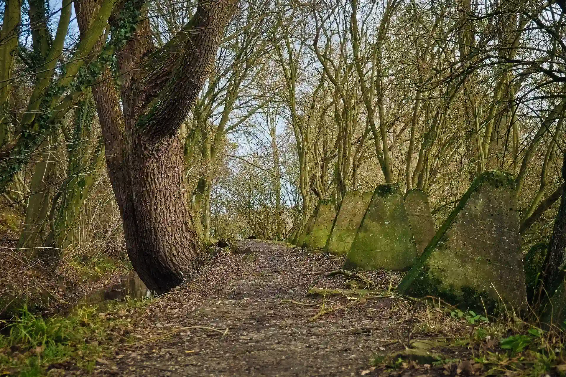 Schlüsseldienst Würselen